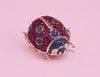 De Shervin's Ladybird
