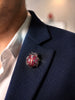 De Shervin's Ladybird
